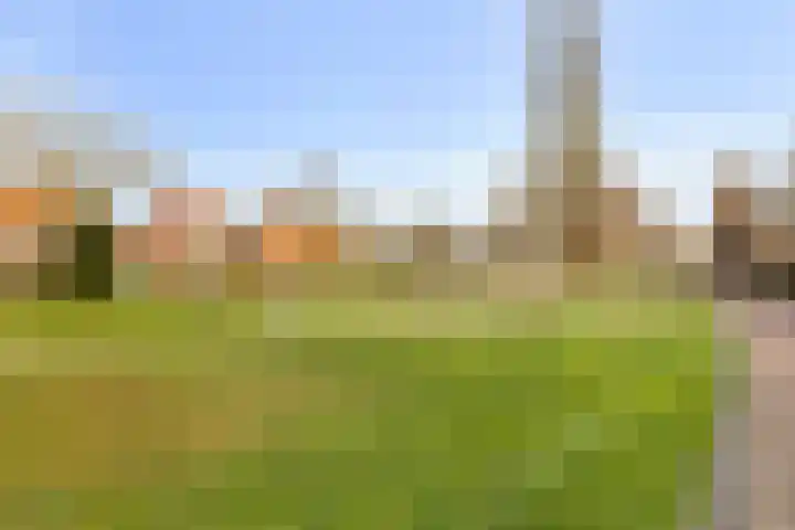 Molenweg 12 Nijkerk thumbnail 37