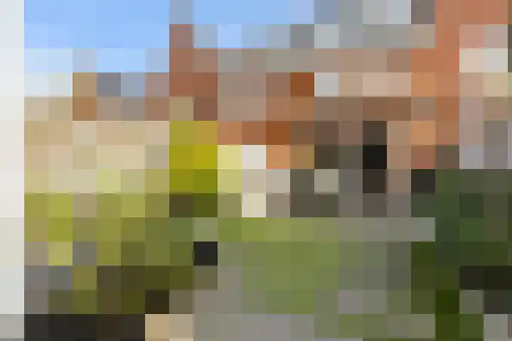 Molenweg 12 Nijkerk thumbnail 4