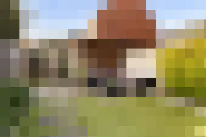 Molenweg 12 Nijkerk thumbnail 5