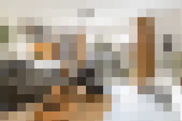 Molenweg 12 Nijkerk thumbnail 8