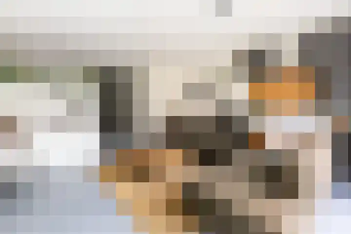 Molenweg 12 Nijkerk thumbnail 9