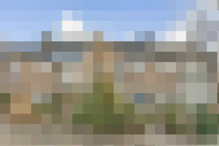 Molenweg 12 Poortugaal thumbnail 29