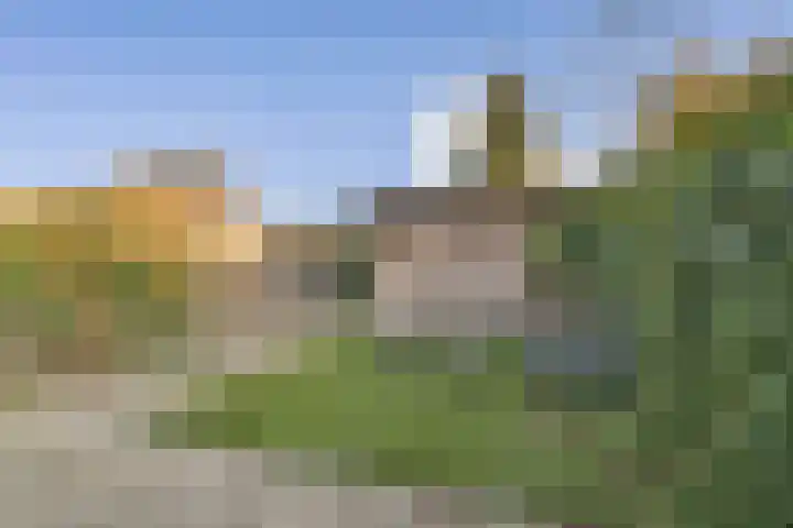 Molenweg 12 Poortugaal thumbnail 32