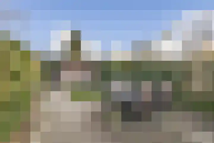 Molenweg 12 Poortugaal thumbnail 33