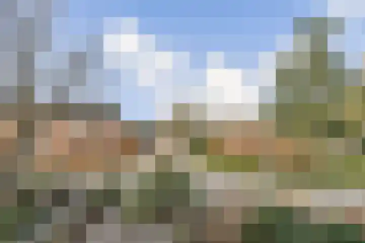 Molenweg 12 Poortugaal thumbnail 34
