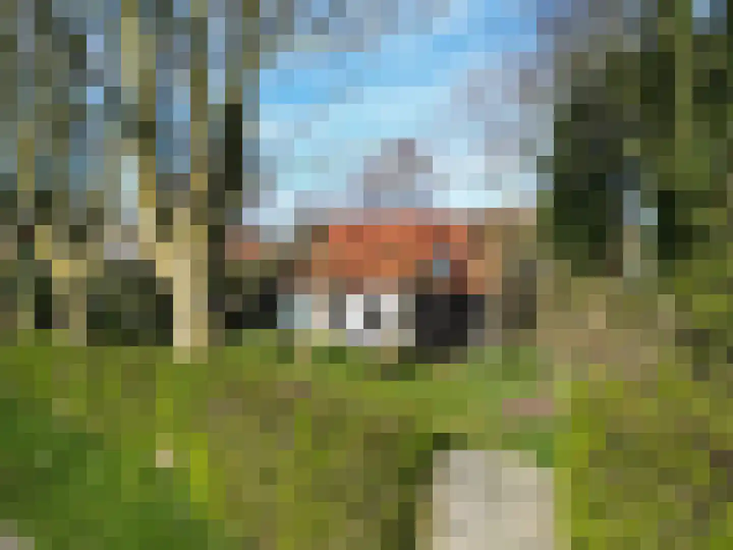 Molenweg 13 in Zuidzande