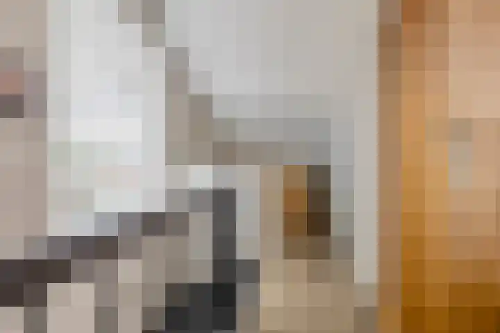 Molenweg 13 a Oudenhoorn thumbnail 26