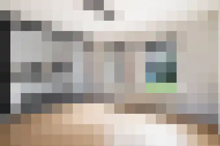 Molenweg 13 Nederweert thumbnail 13