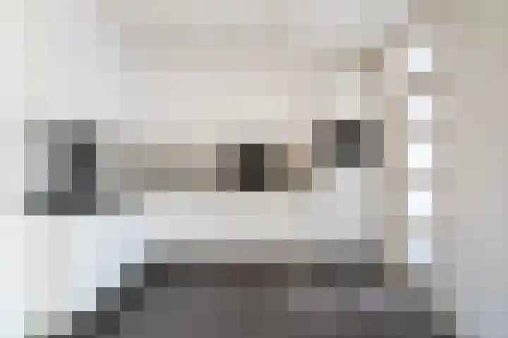 Molenweg 13 Nederweert thumbnail 15