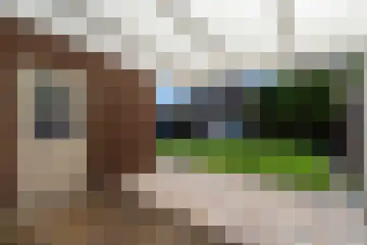 Molenweg 13 Nederweert thumbnail 33