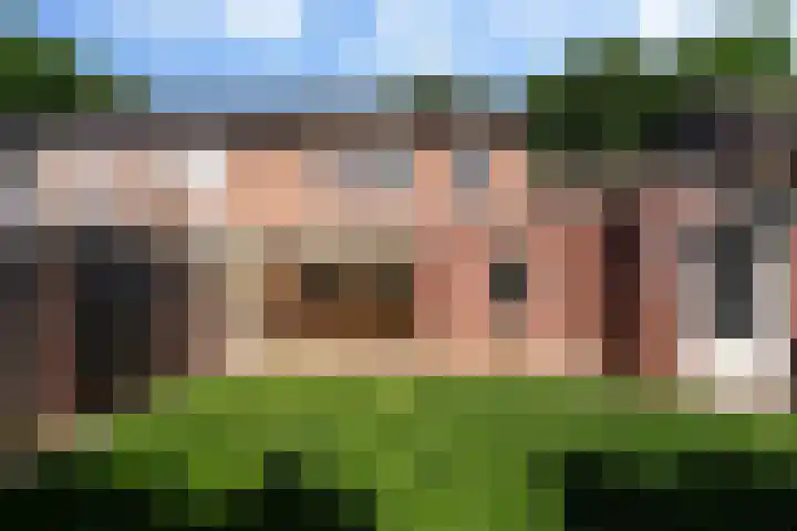 Molenweg 13 Nederweert thumbnail 35