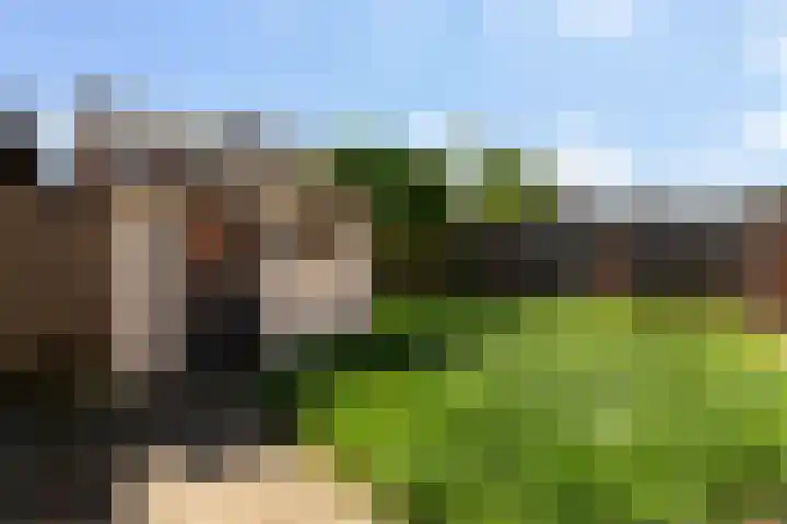 Molenweg 13 Nederweert thumbnail 37