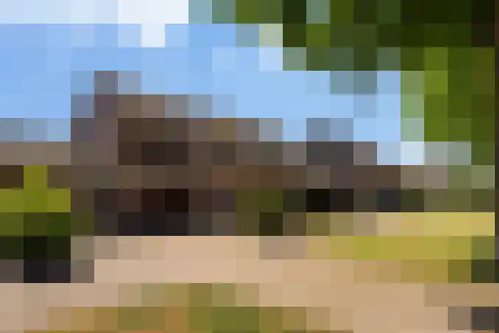 Molenweg 13 Nederweert thumbnail 39