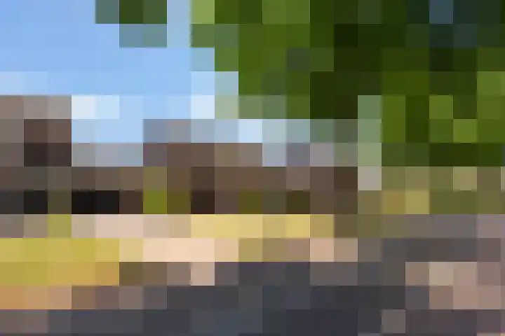 Molenweg 13 Nederweert thumbnail 40