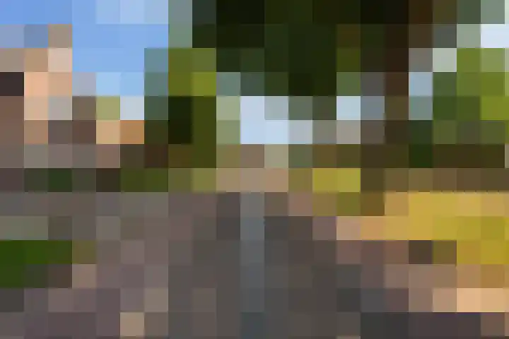Molenweg 13 Nederweert thumbnail 41