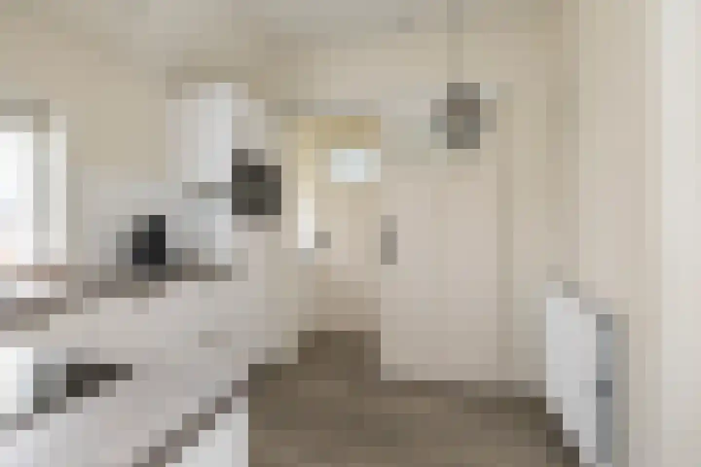 Molenweg 13 't Zandt thumbnail 17