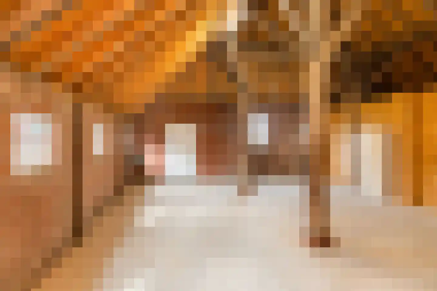 Molenweg 13 't Zandt thumbnail 26