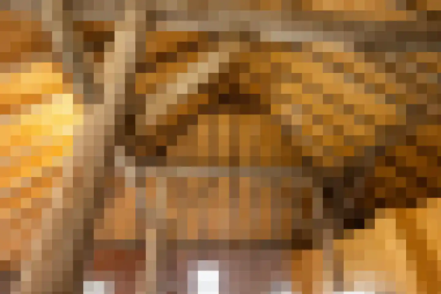 Molenweg 13 't Zandt thumbnail 27