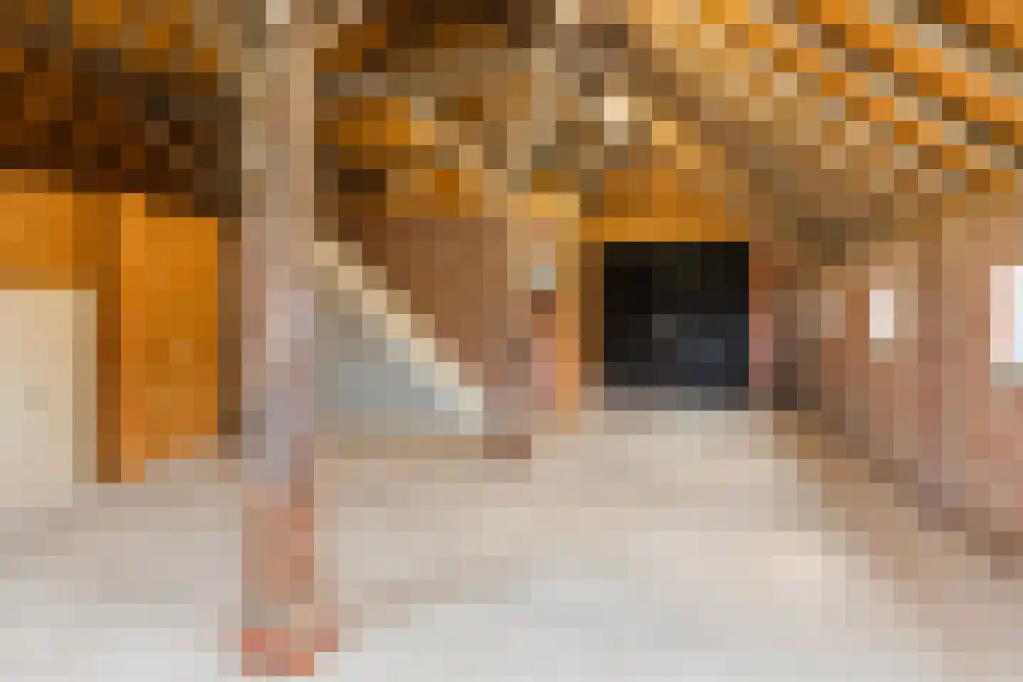 Molenweg 13 't Zandt thumbnail 29