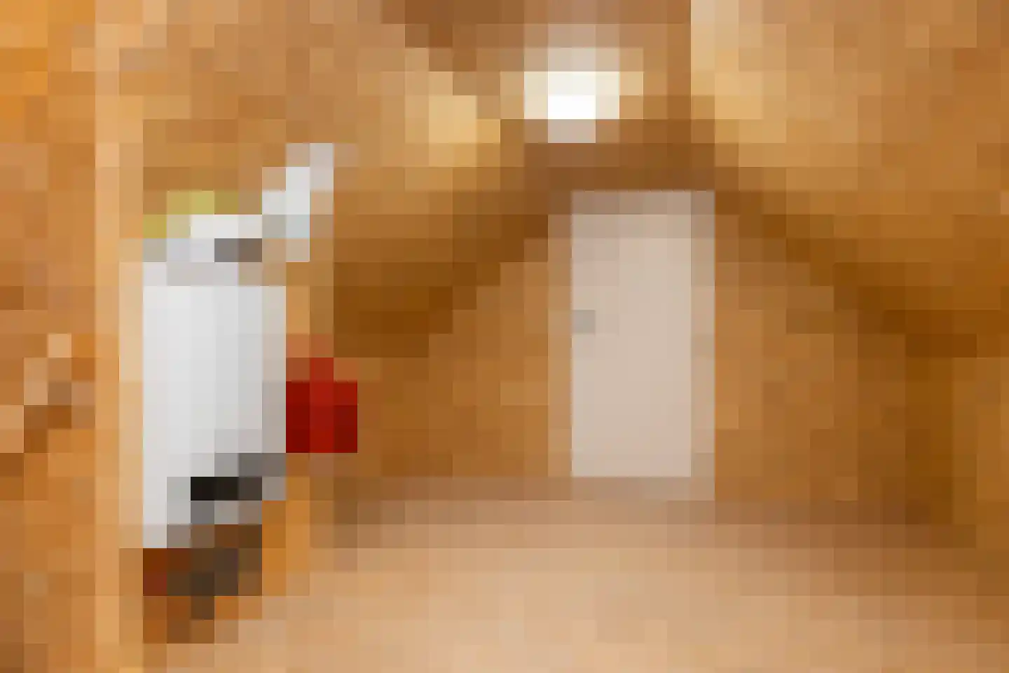 Molenweg 13 't Zandt thumbnail 30