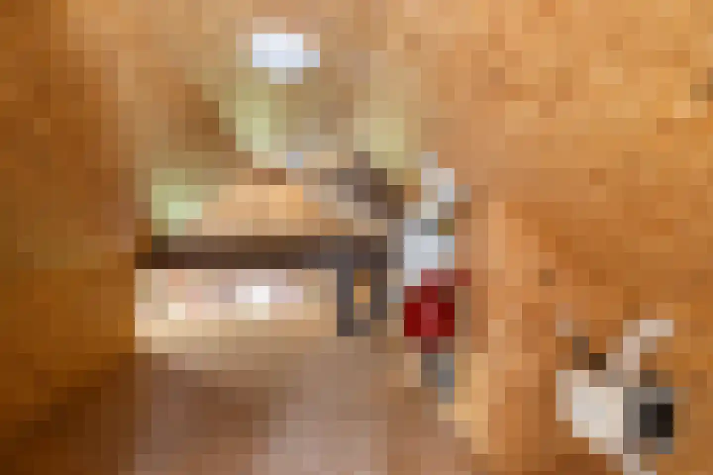 Molenweg 13 't Zandt thumbnail 32