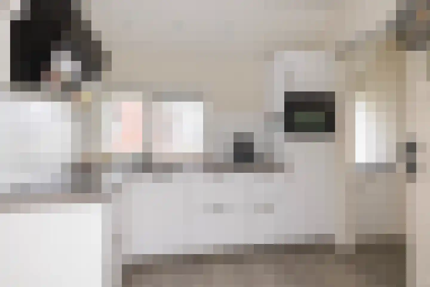 Molenweg 13 't Zandt thumbnail 6