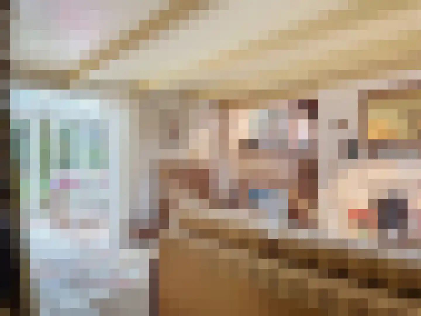 Molenweg 13 Zuidzande thumbnail 12