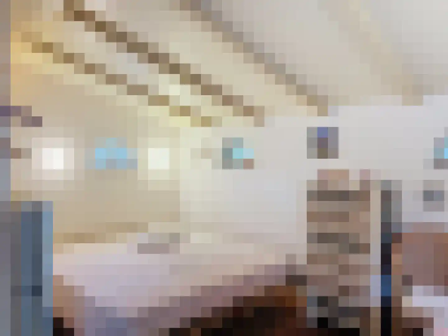 Molenweg 13 Zuidzande thumbnail 18