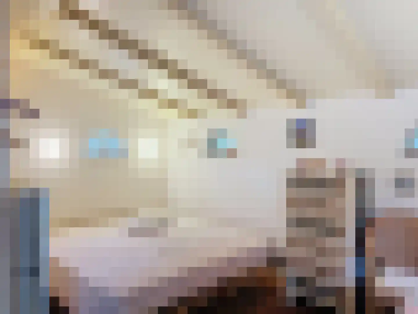 Molenweg 13 Zuidzande thumbnail 18