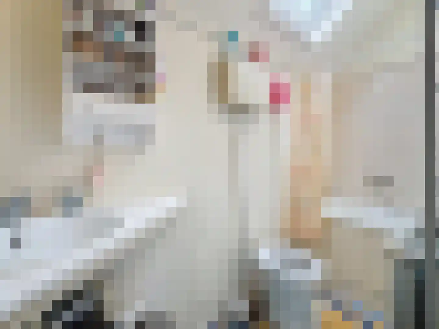 Molenweg 13 Zuidzande thumbnail 19