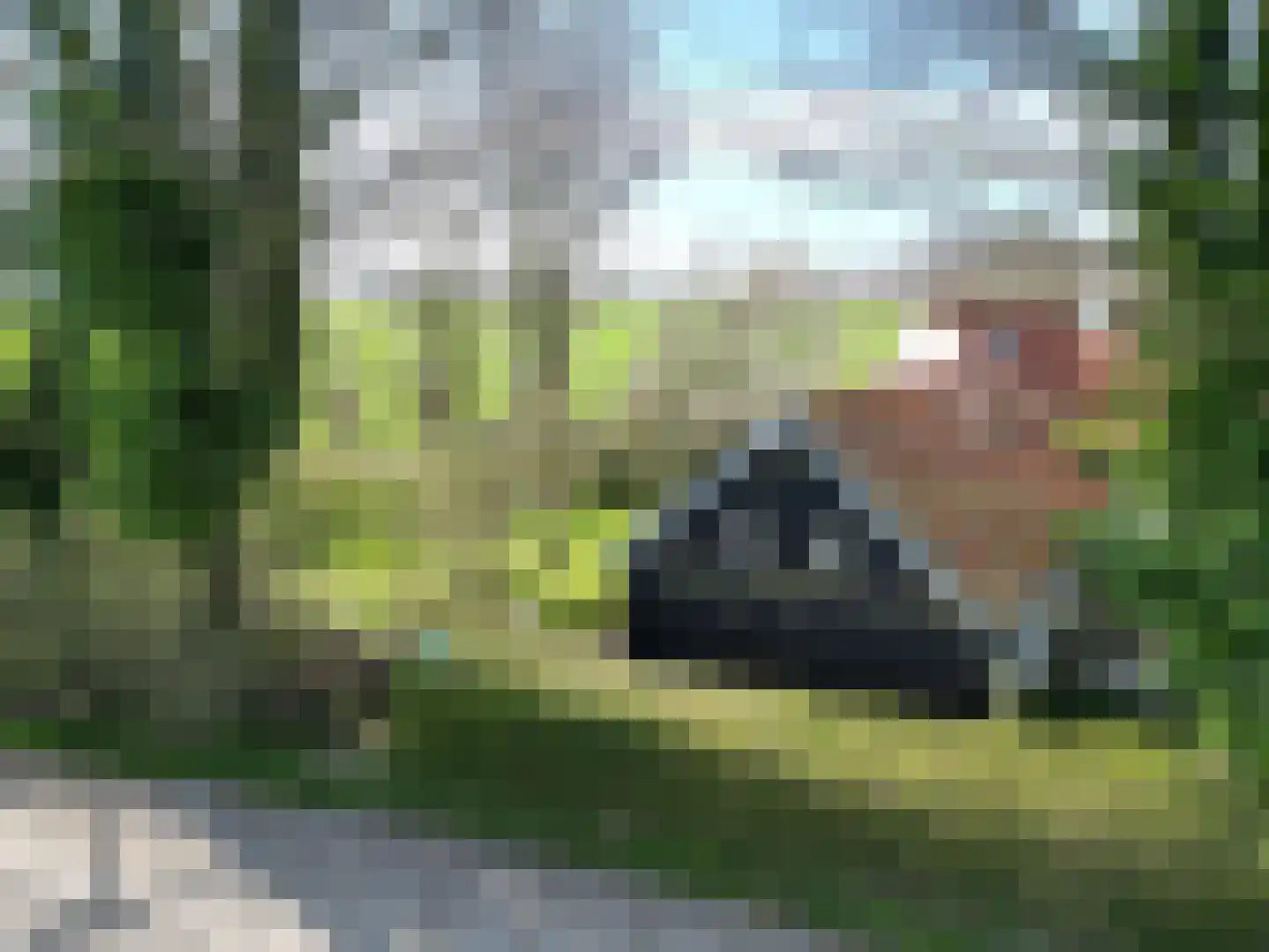 Molenweg 13 Zuidzande thumbnail 22