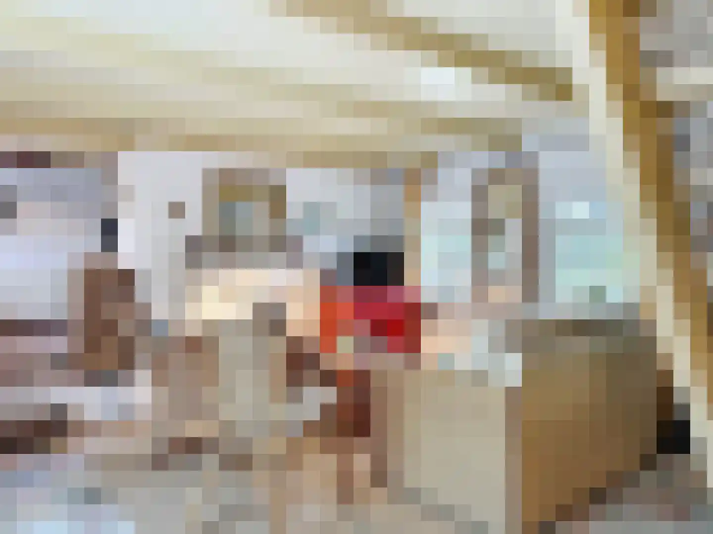 Molenweg 13 Zuidzande thumbnail 4