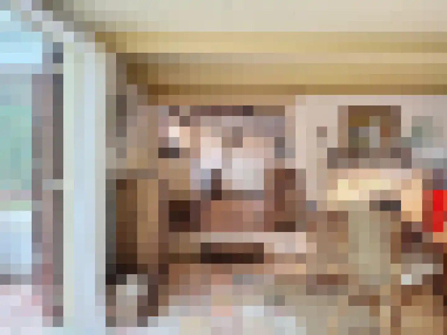 Molenweg 13 Zuidzande thumbnail 6