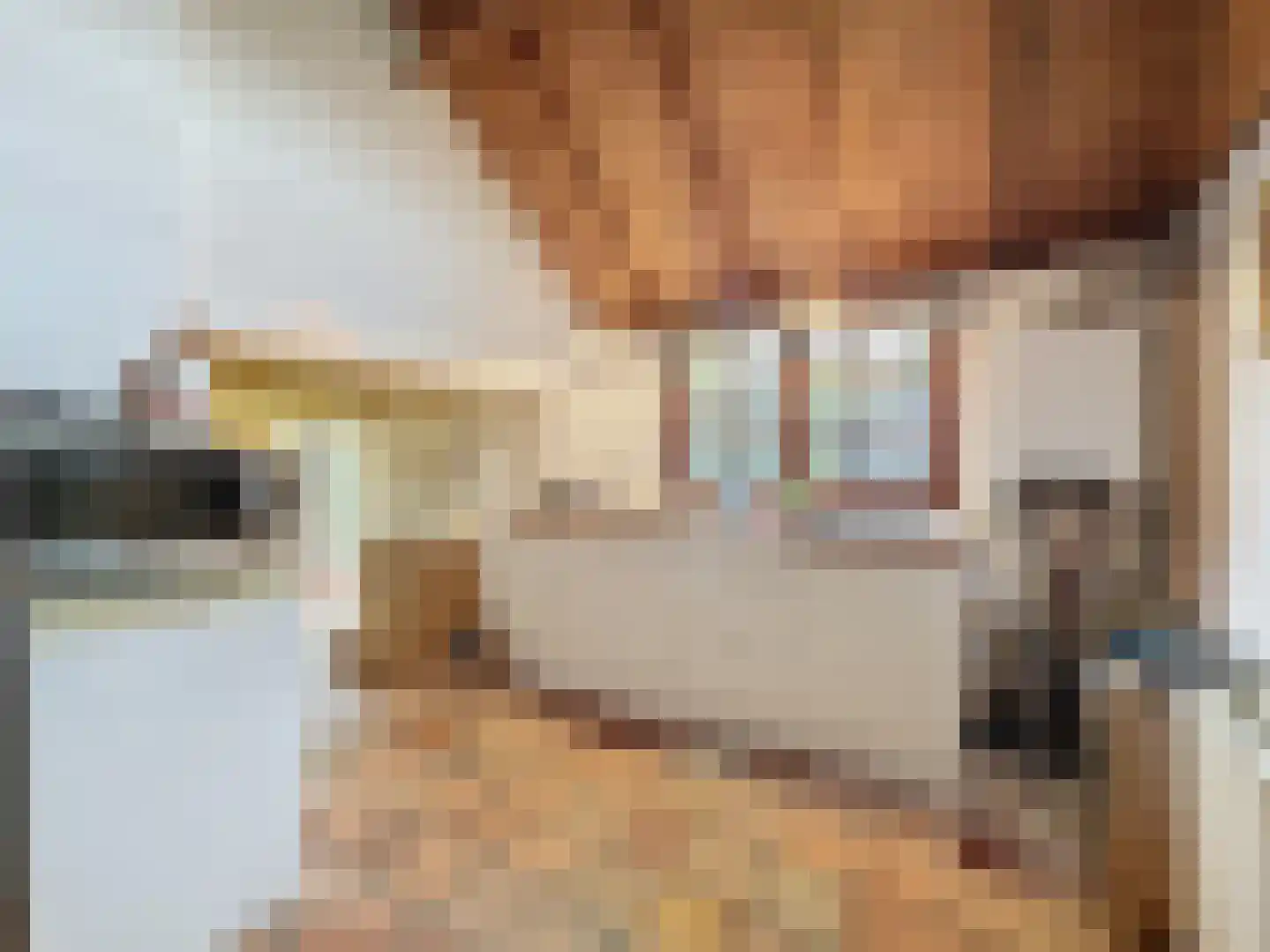 Molenweg 13 Zuidzande thumbnail 7