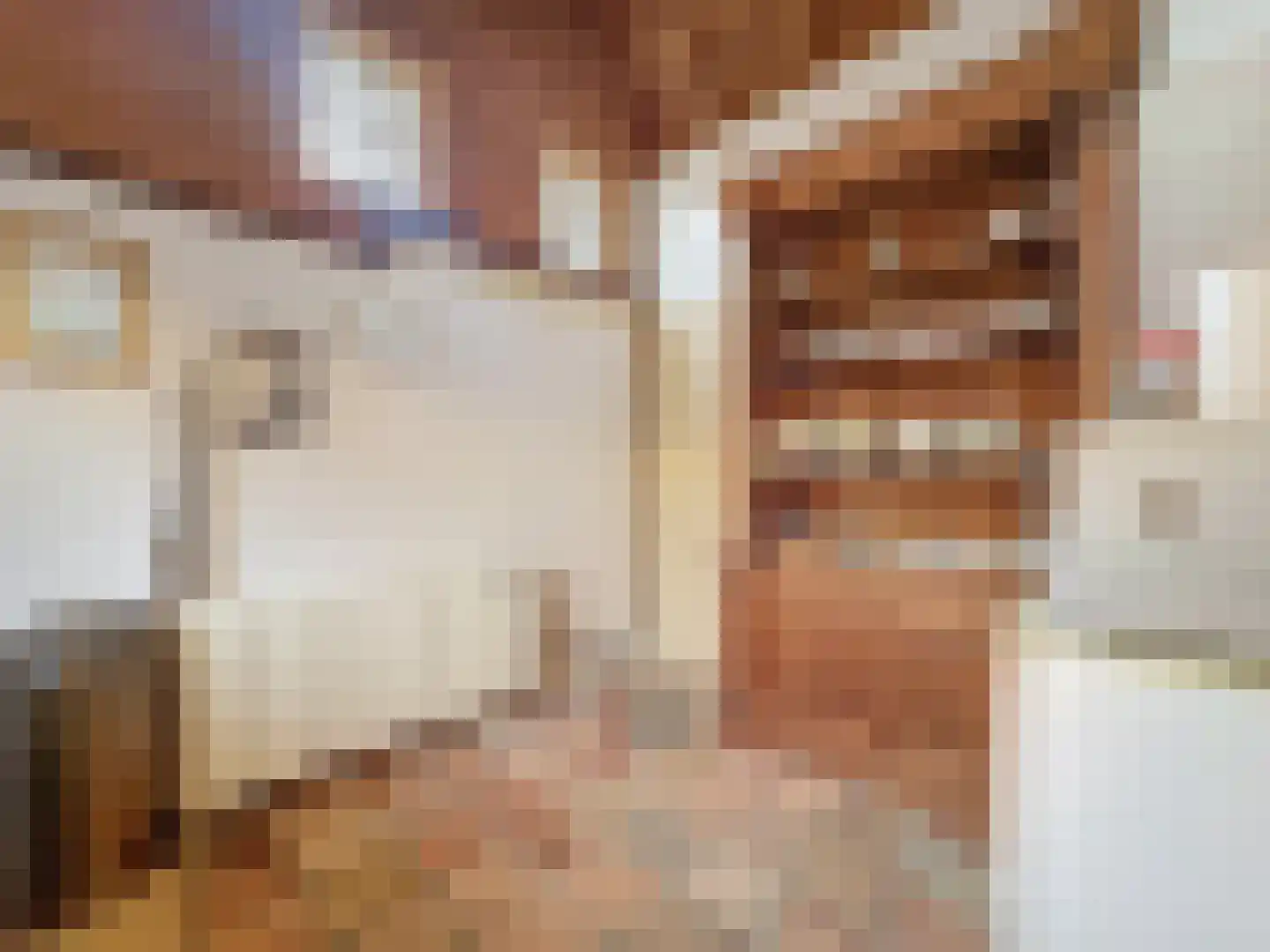 Molenweg 13 Zuidzande thumbnail 9