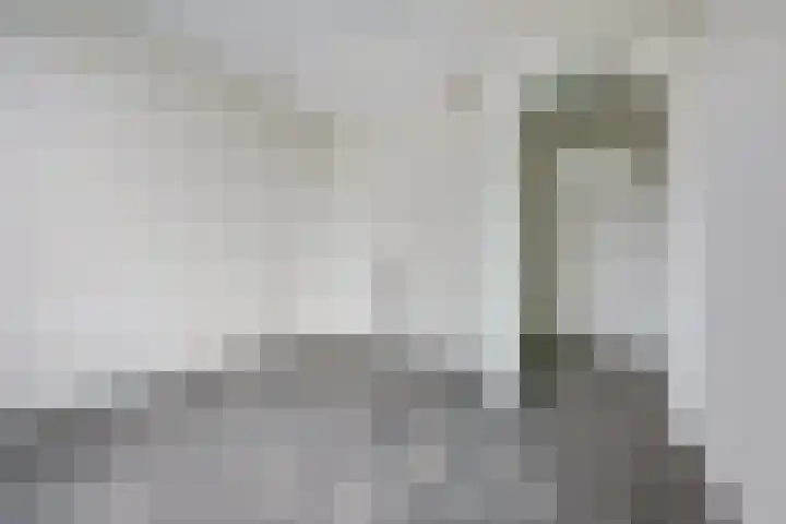 Molenweg 13 Zutphen thumbnail 12