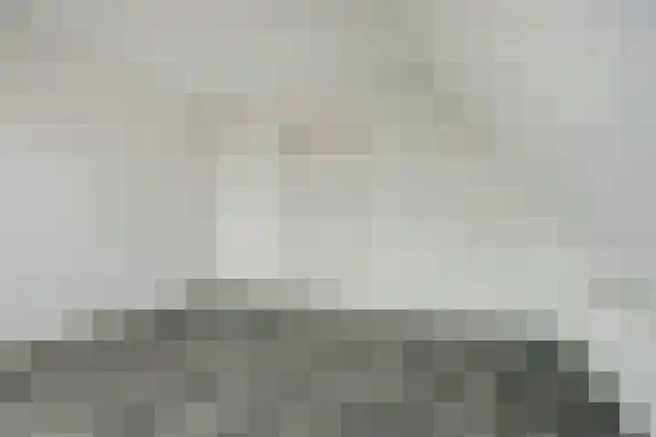 Molenweg 13 Zutphen thumbnail 17