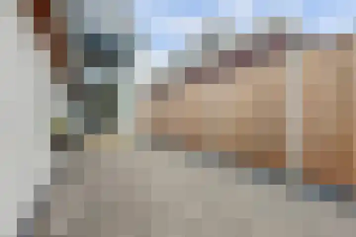 Molenweg 13 Zutphen thumbnail 22