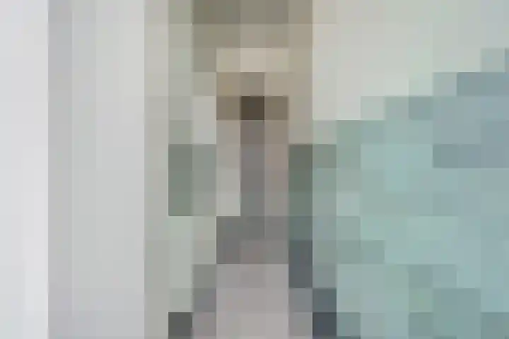 Molenweg 13 Zutphen thumbnail 8