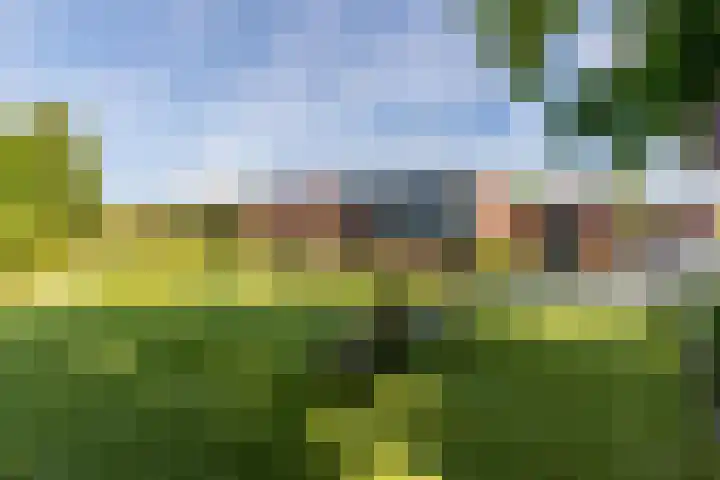 Molenweg 131 Rozenburg thumbnail 12