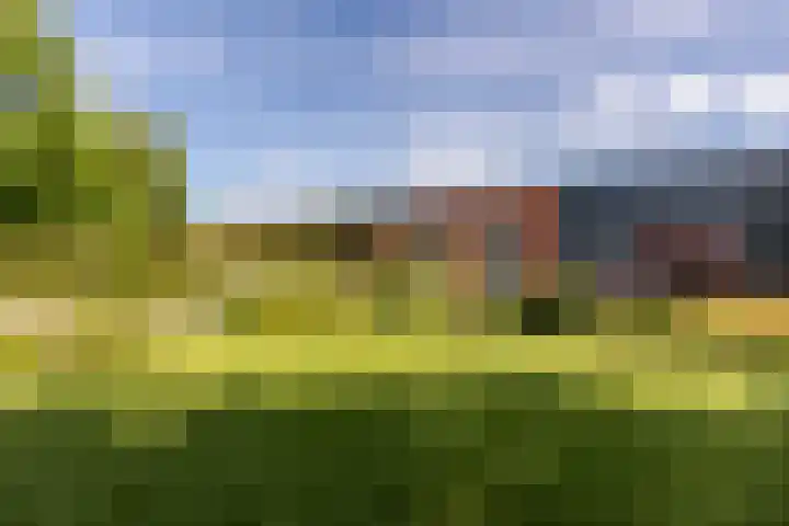 Molenweg 131 Rozenburg thumbnail 13