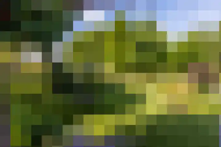 Molenweg 131 Rozenburg thumbnail 9
