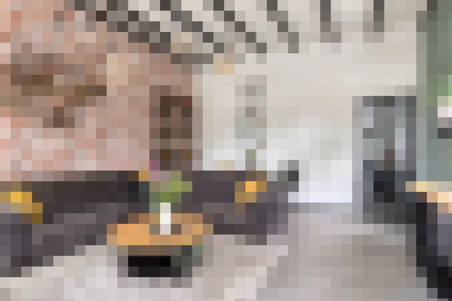 Molenweg 14 Bruinisse thumbnail 10