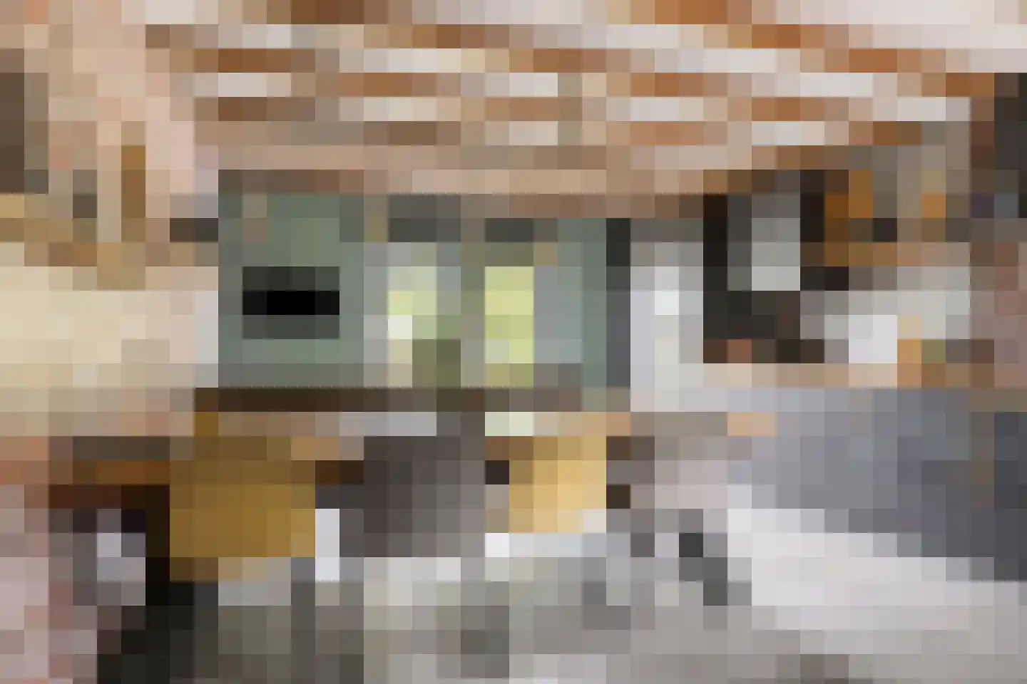 Molenweg 14 Bruinisse thumbnail 12