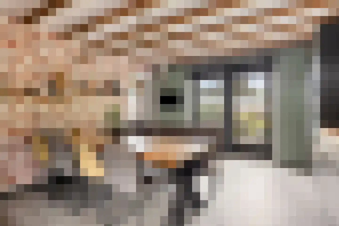Molenweg 14 Bruinisse thumbnail 13
