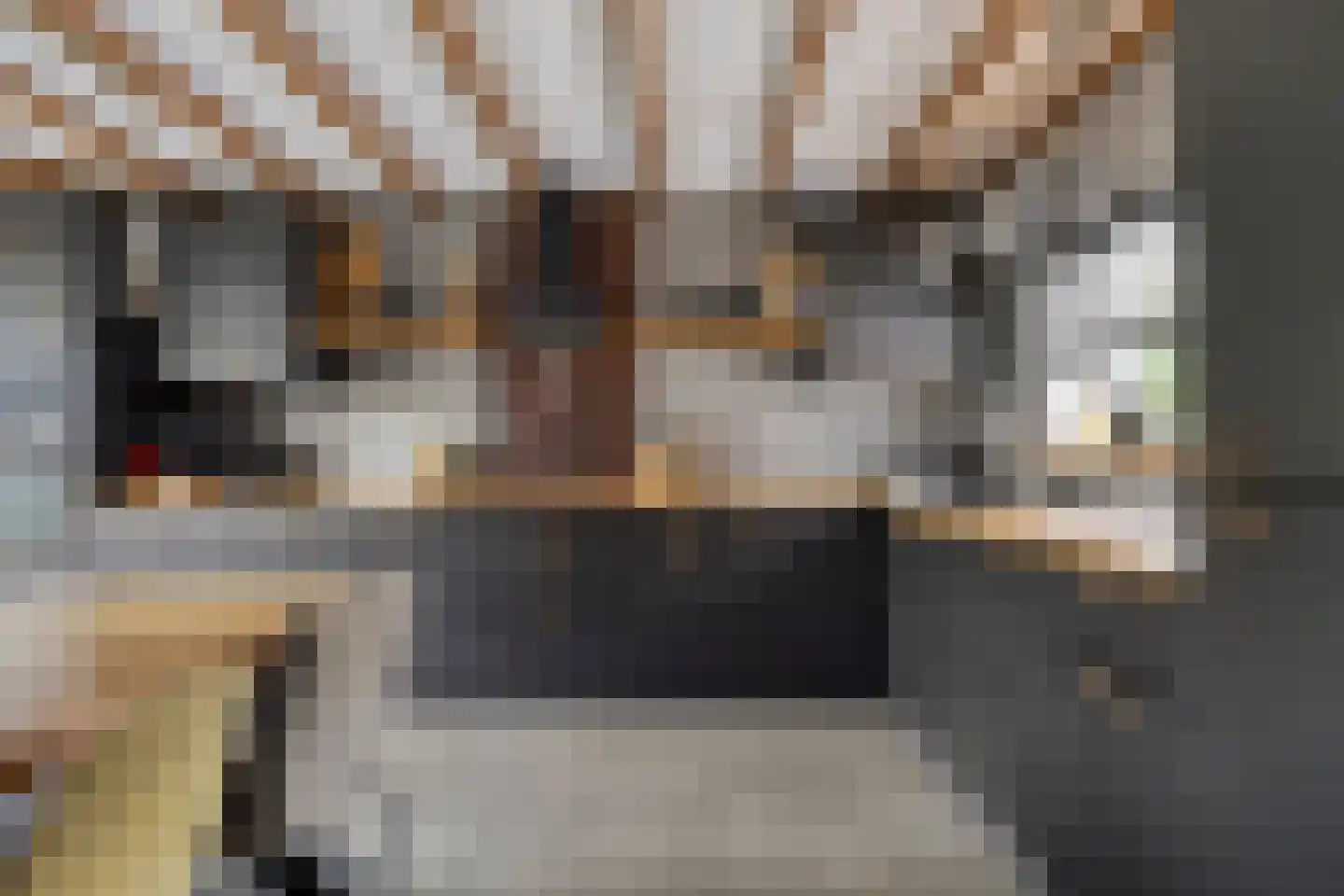 Molenweg 14 Bruinisse thumbnail 17