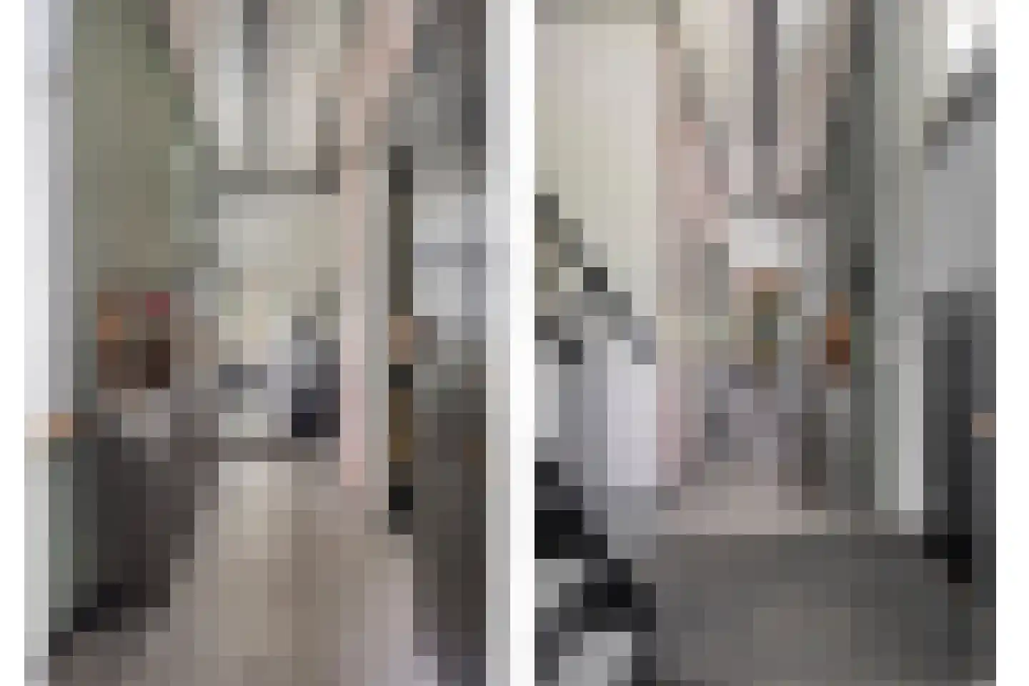 Molenweg 14 Bruinisse thumbnail 20