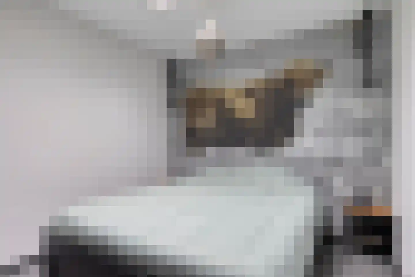 Molenweg 14 Bruinisse thumbnail 22