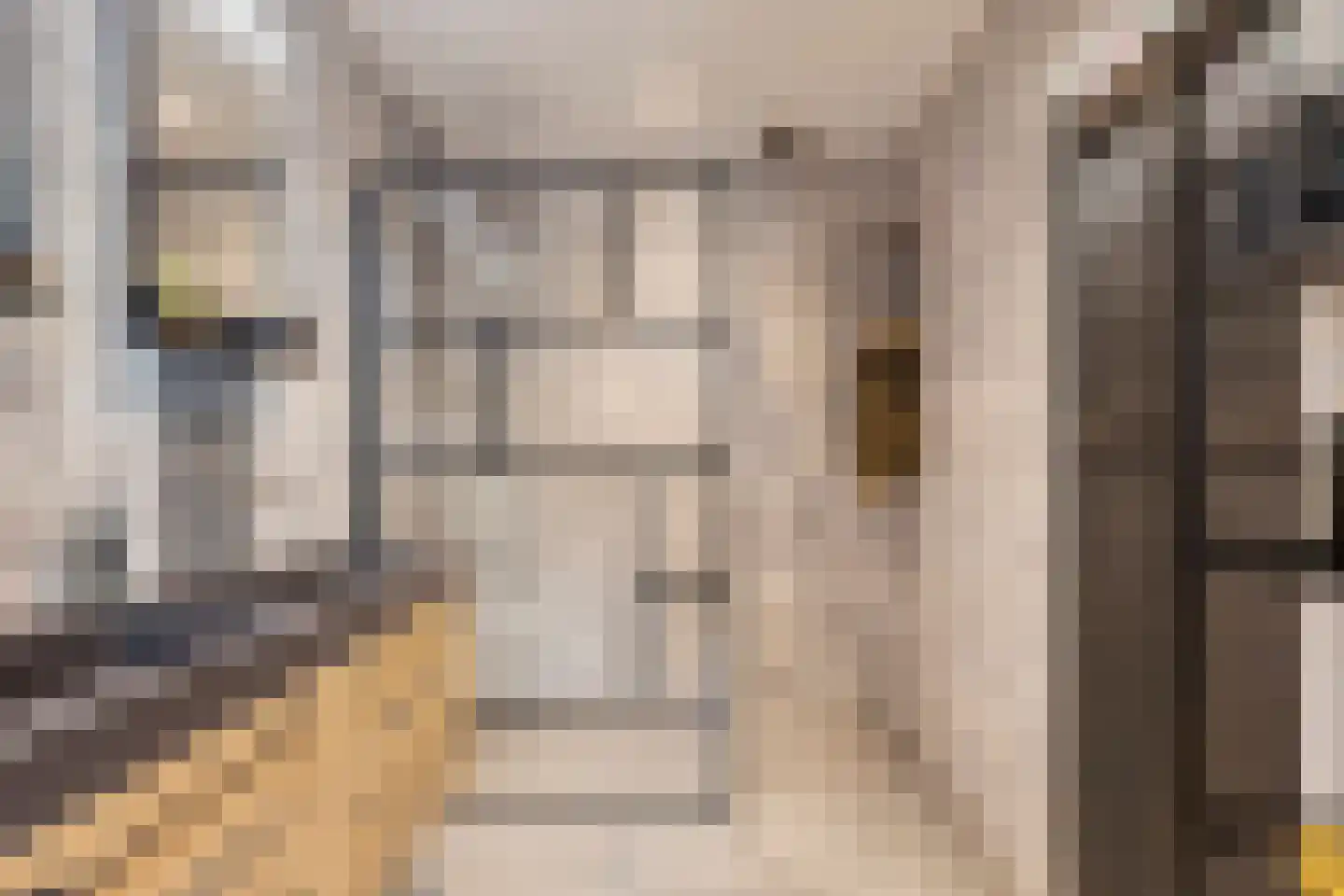 Molenweg 14 Bruinisse thumbnail 23