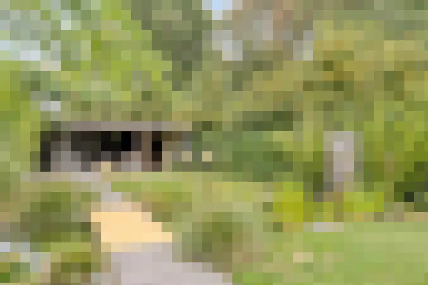 Molenweg 14 Bruinisse thumbnail 36